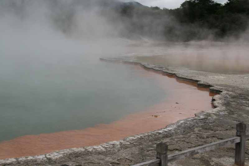 Nieuw-Zeeland 2011 - 0775
